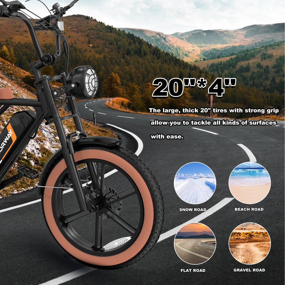 750W Electric Bike for Adults,20X4.0 Fat Tire Off-Road E Bike,48V/15Ah Battery Snow Beach Mountain Bike for Outdoor Cycling E Bike